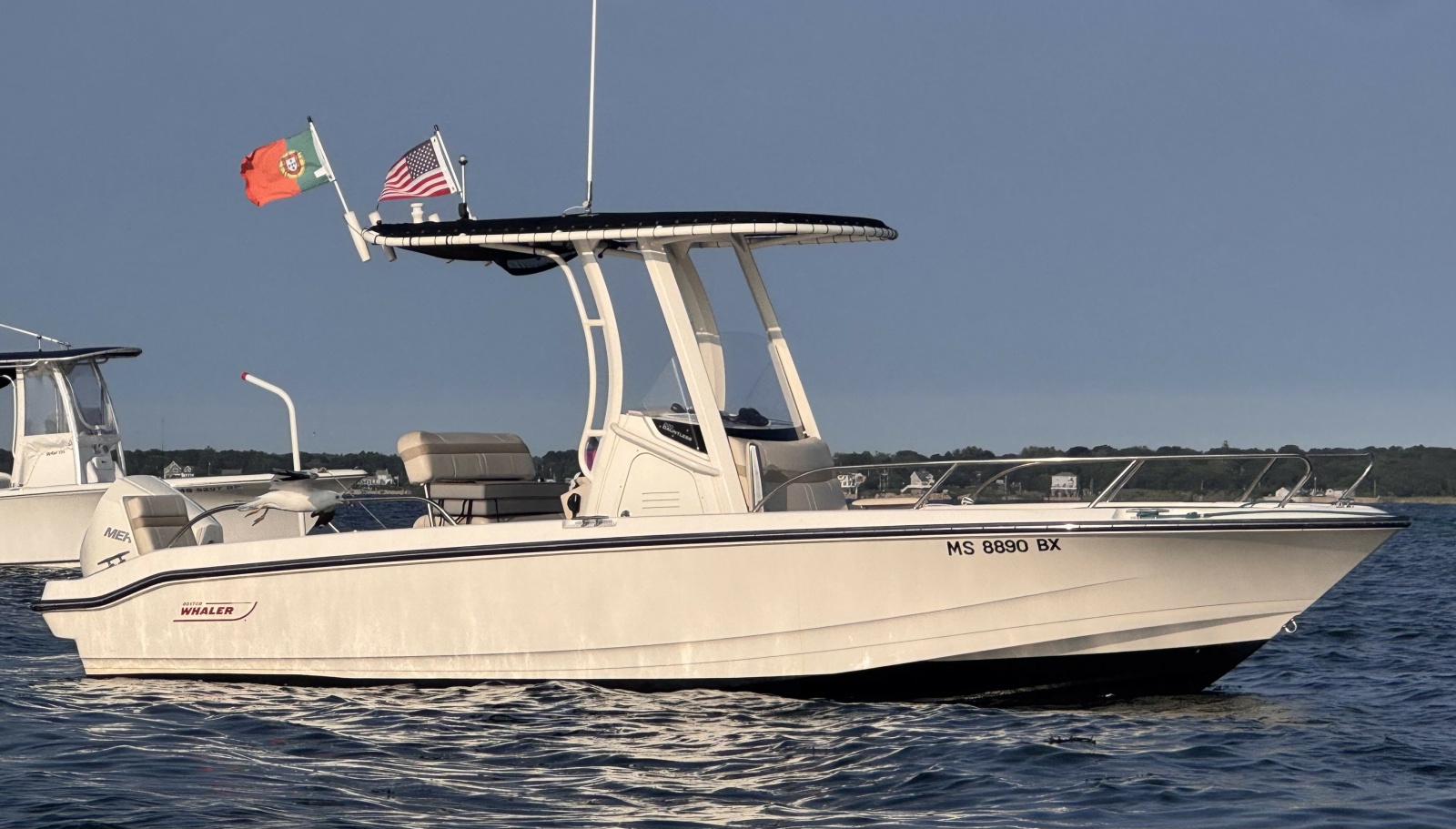 2023 Boston Whaler 220 Dauntless 22 ft yacht for sale in South Dartmouth , Massachusetts