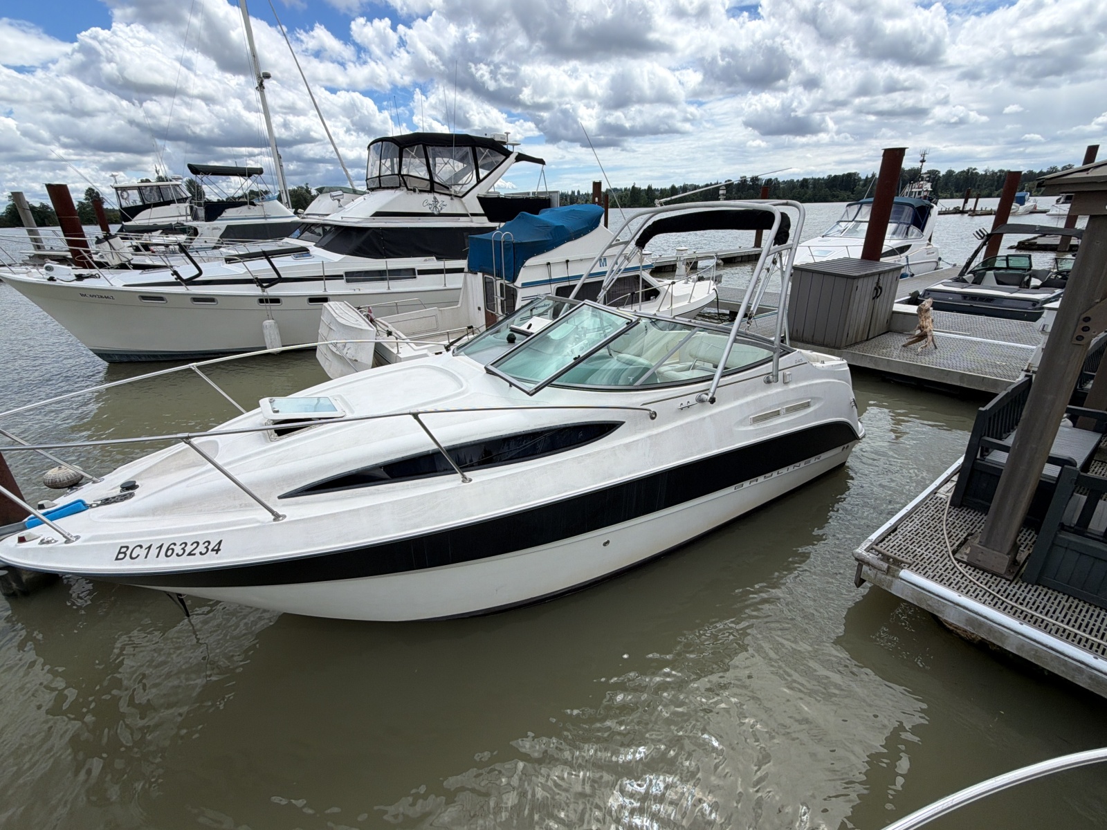2007 Bayliner 245 — photo 1