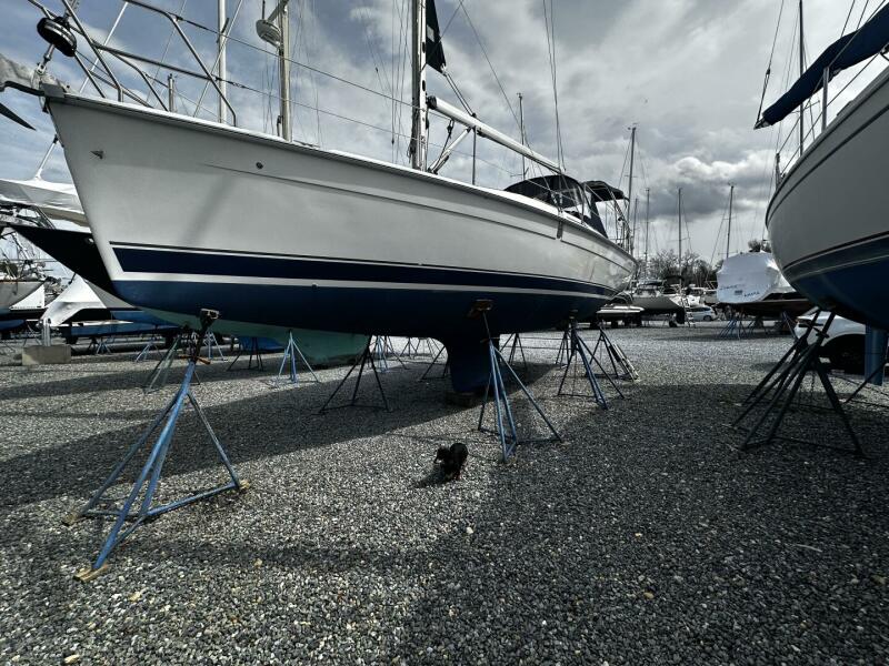2004 Hunter — photo 1