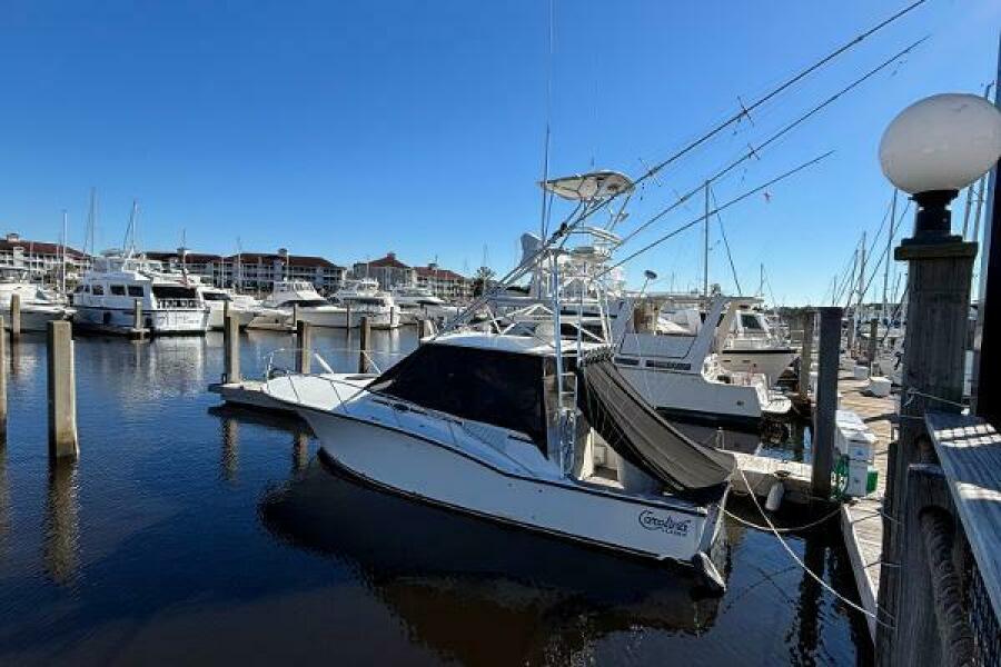 2001 Carolina Classic 35 — photo 1