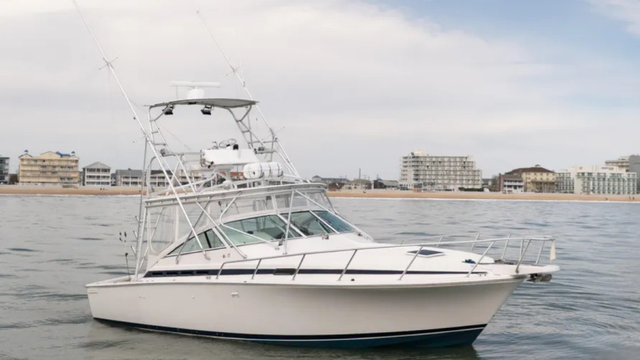 1998 Bertram 36 Moppie — photo 1