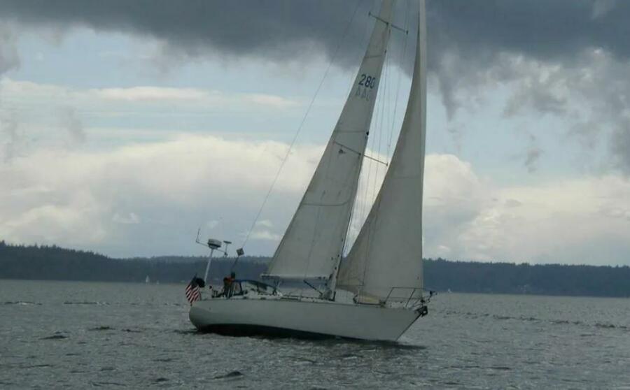 Photo 44