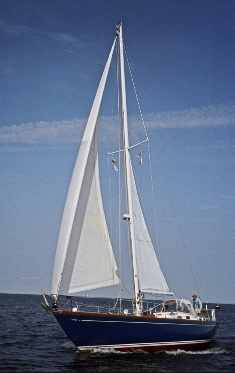Photo 6