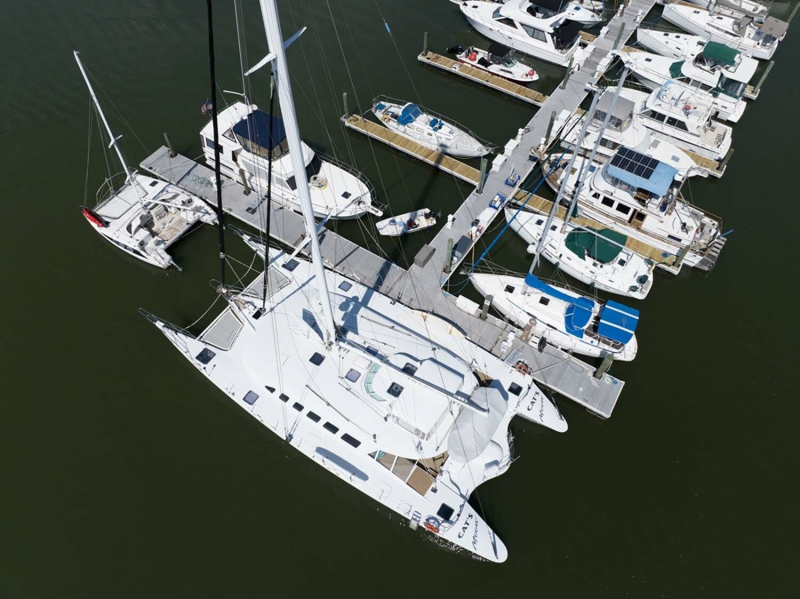 Photo 66