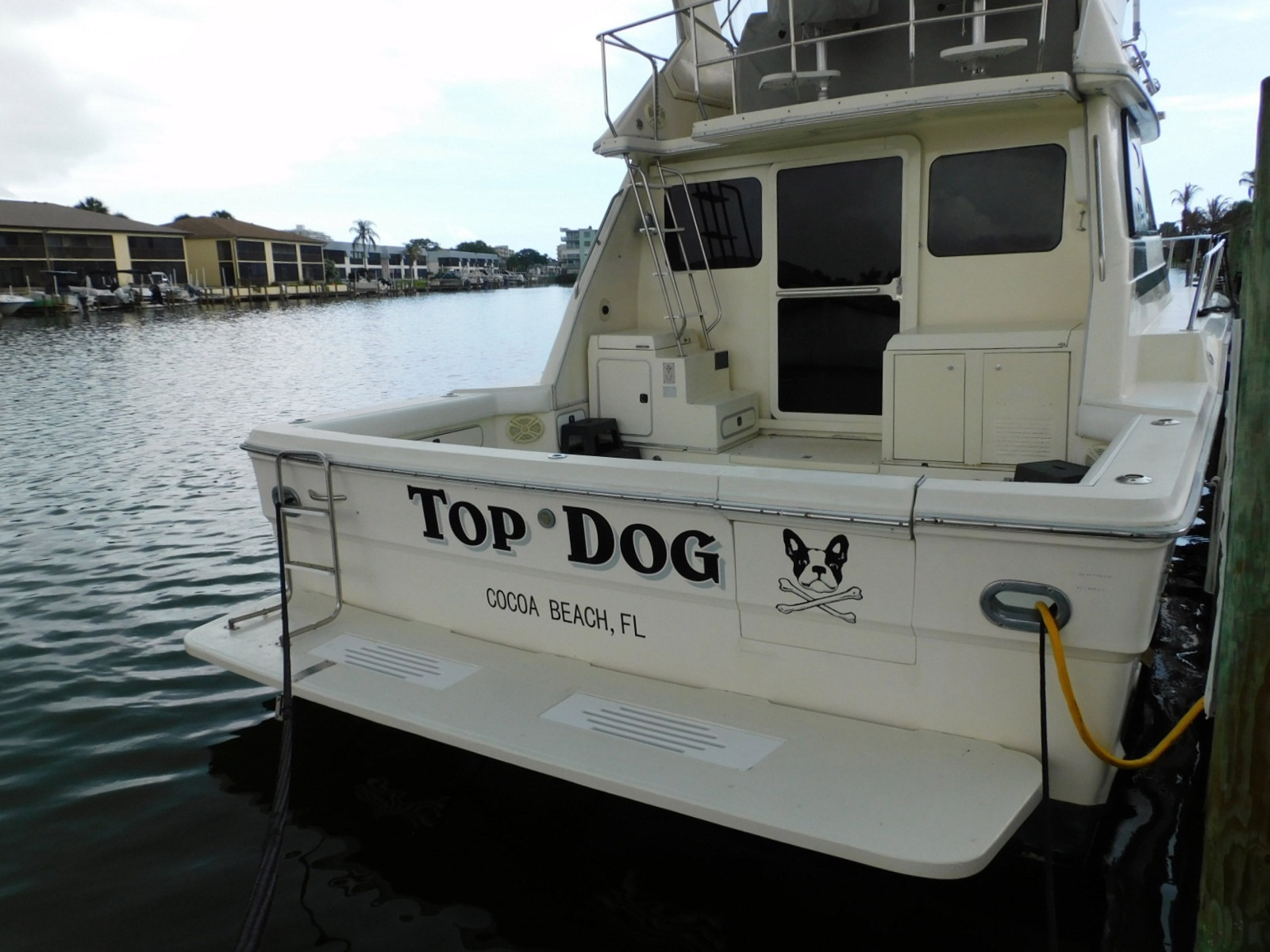 Photo 8