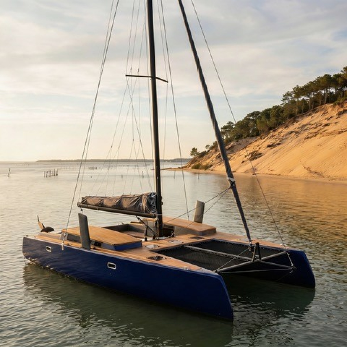 2027 Black Pepper C38 — photo 1
