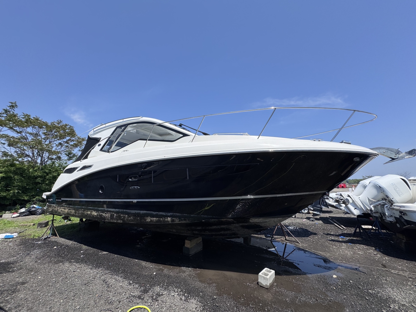 2019 Sea Ray — photo 1
