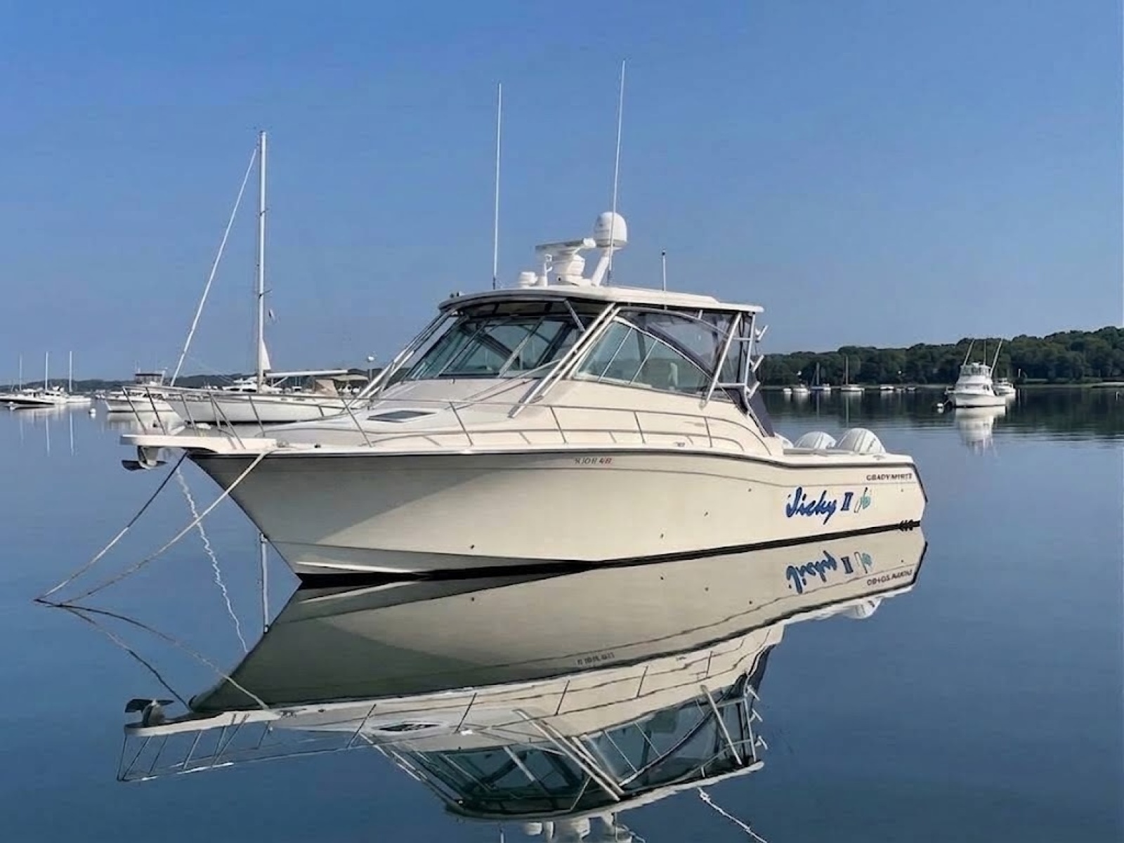 2007 Grady-White 365 Express — photo 1
