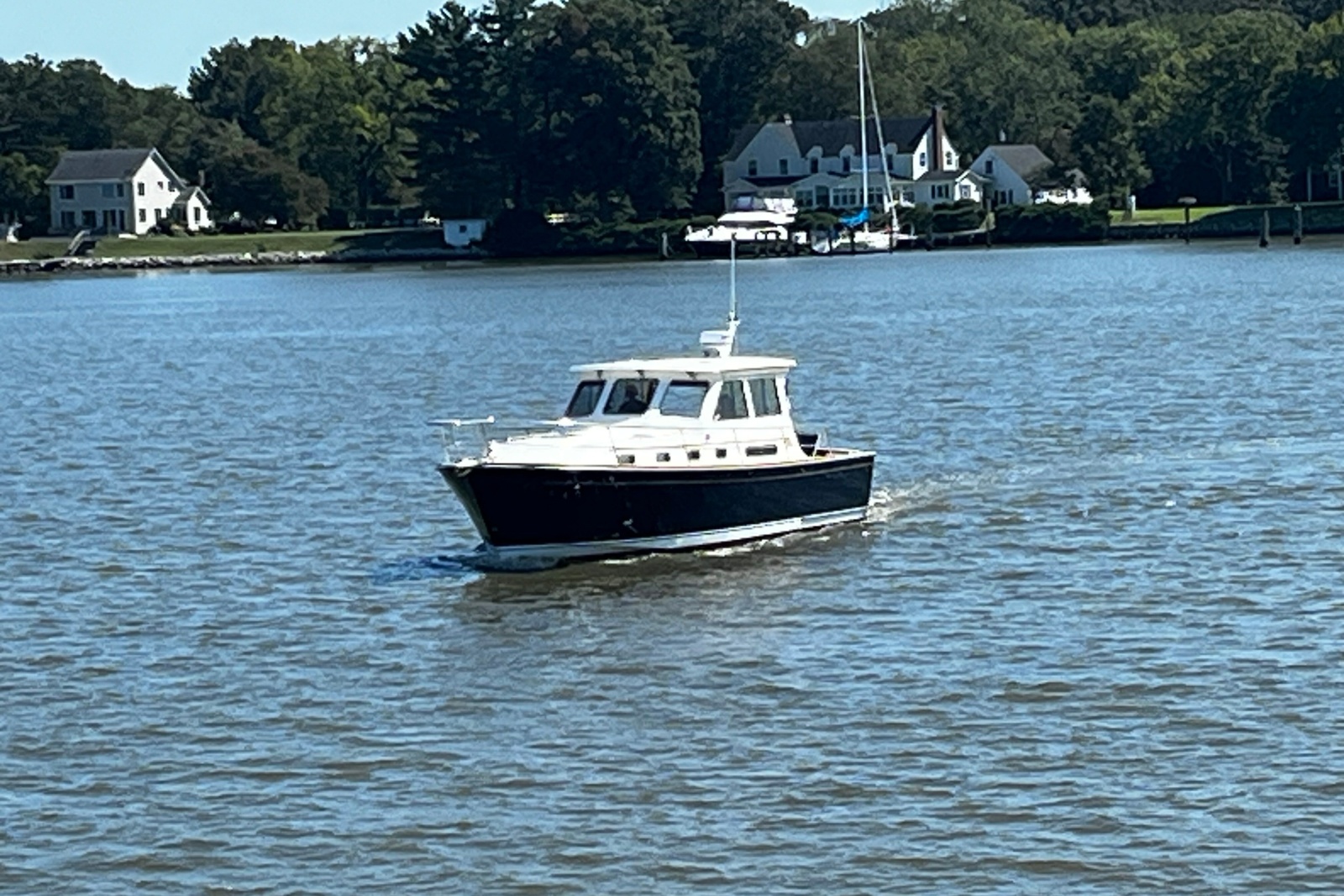 Photo 45