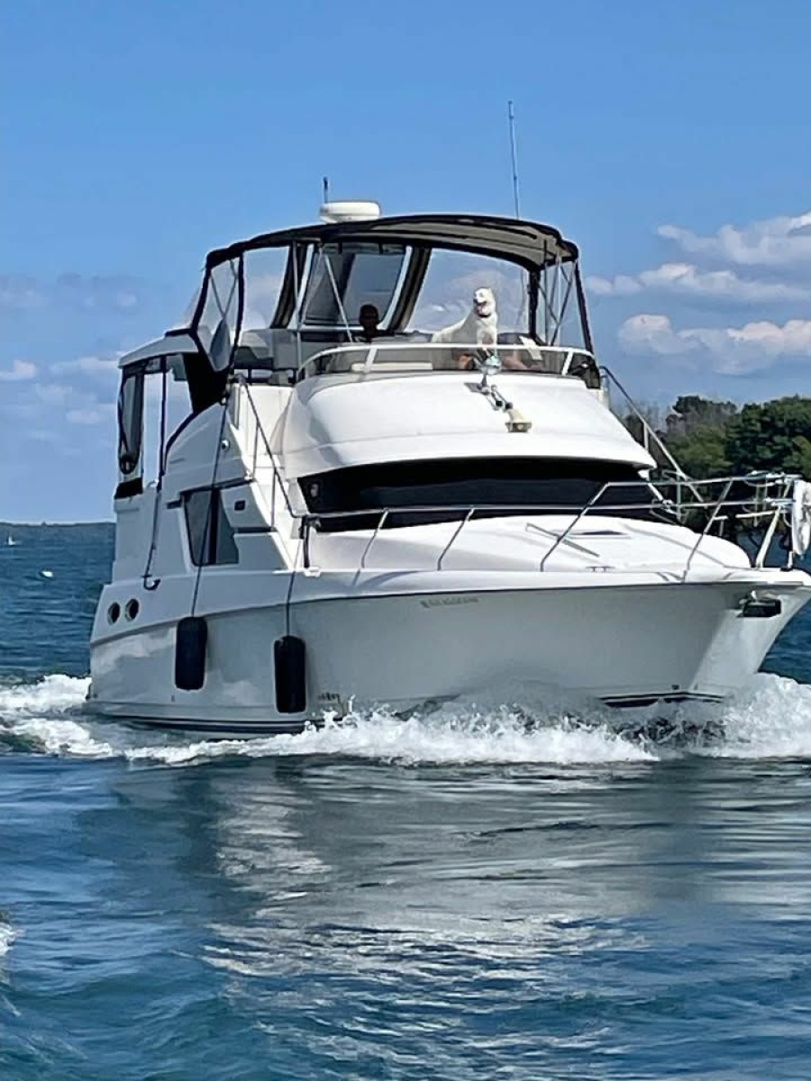 1999 Silverton 392 MY — photo 1