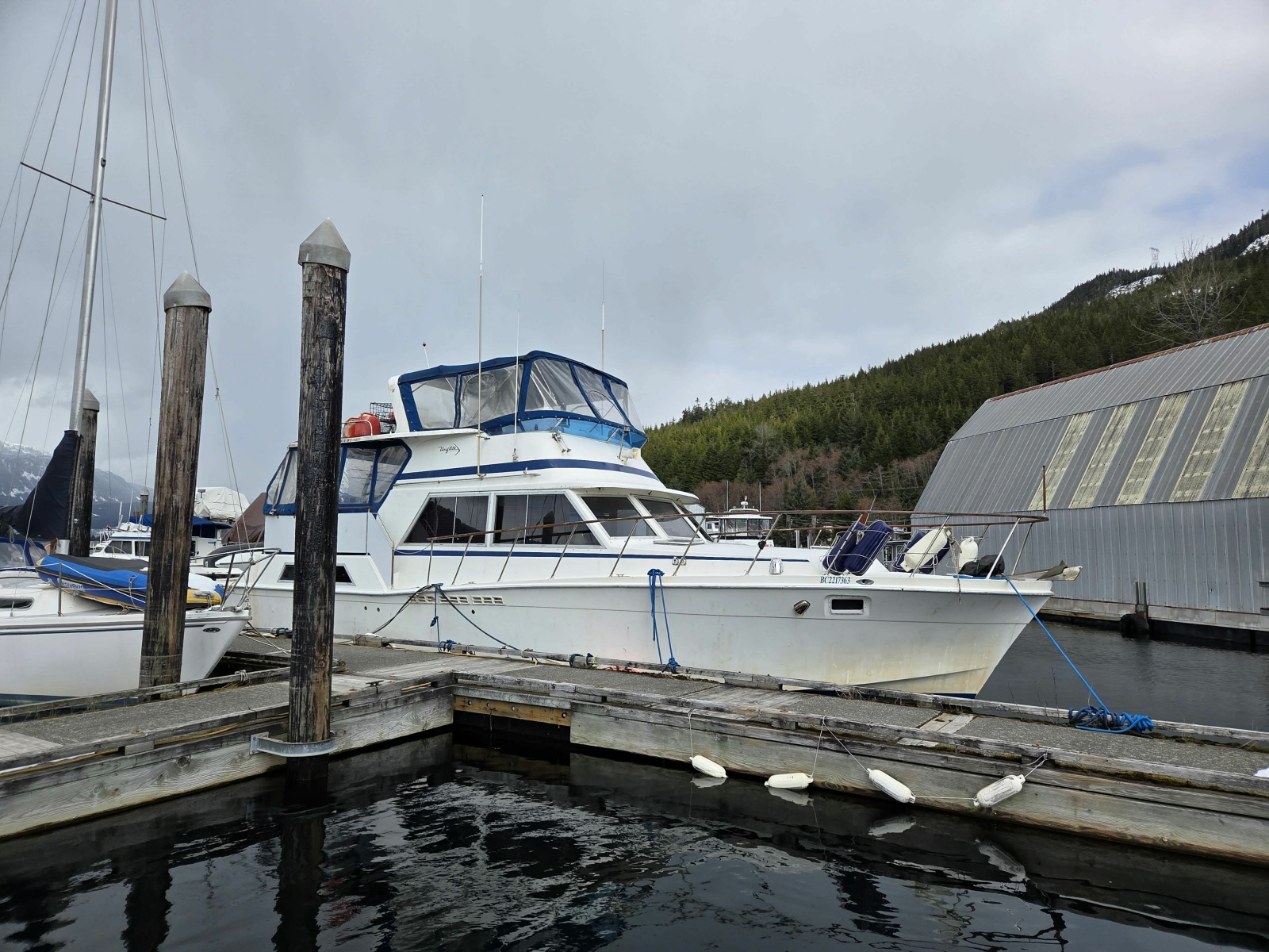 1981 Uniflite MY — photo 1